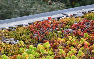 the cost of Welney green roof installation
